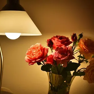 Old Town Tyn Apartamento